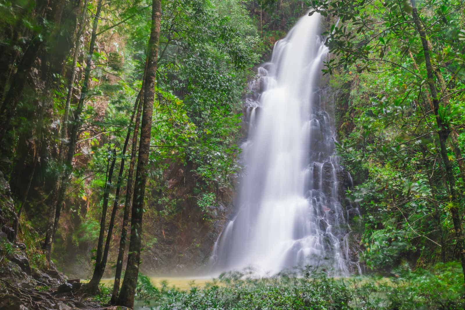 Discover San Ignacio, Belize- Your Ultimate Guide To Adventure